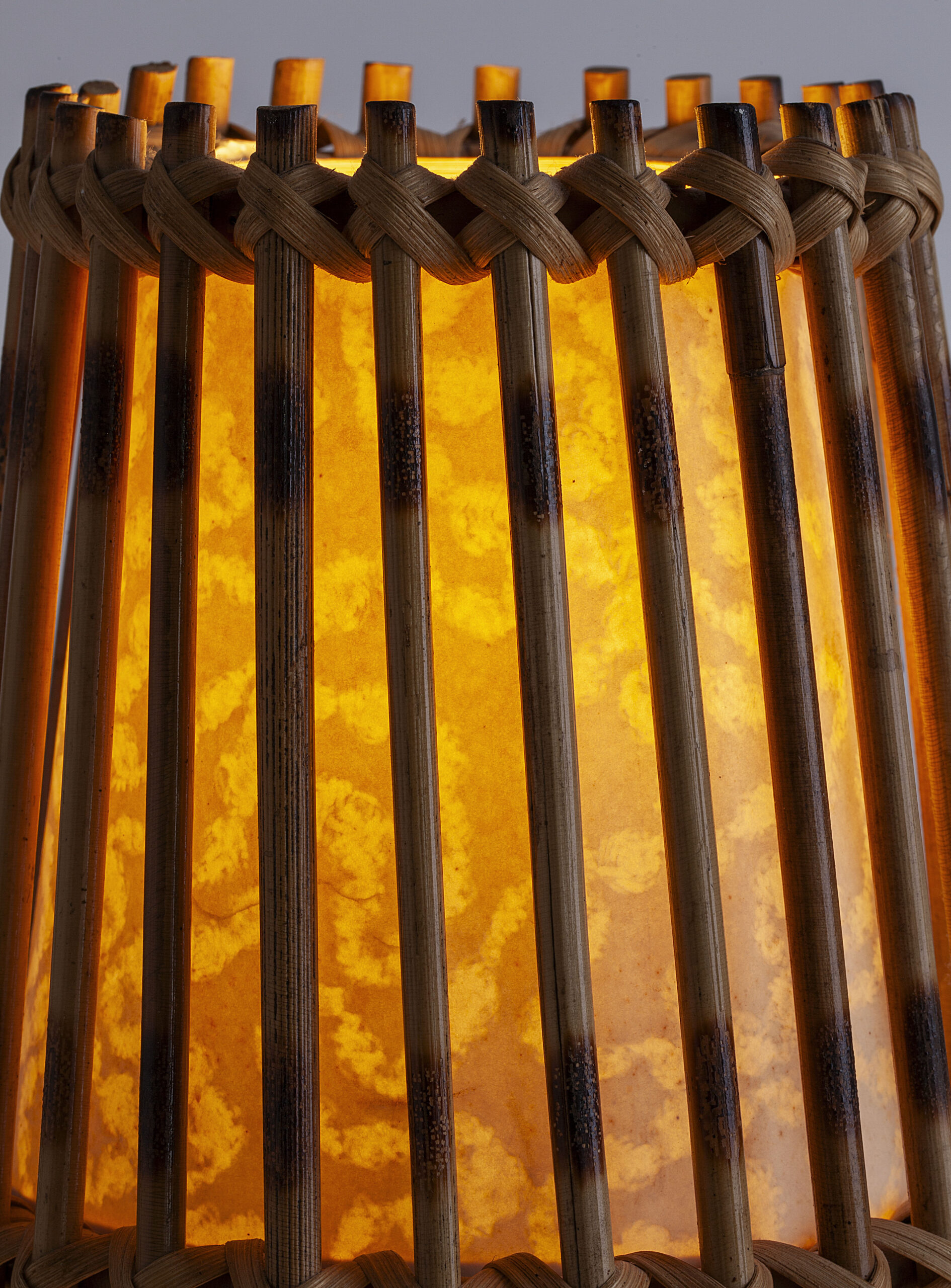 Striped bamboo - Image 3