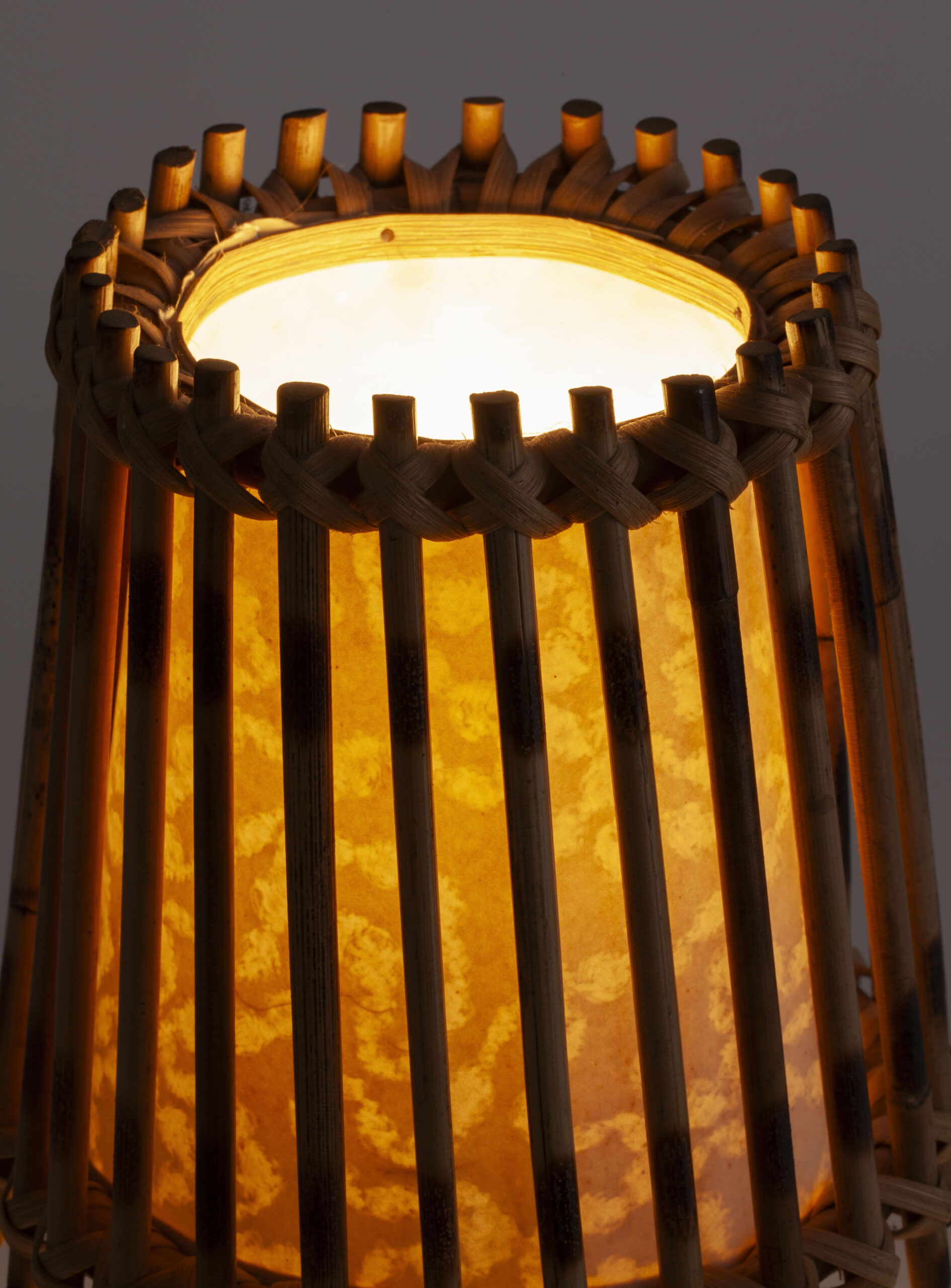 Striped bamboo - Image 4